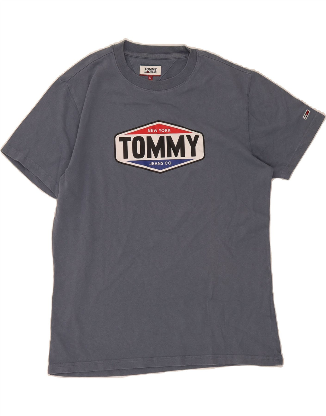 TOMMY HILFIGER Mens Graphic T-Shirt Top Medium Blue Vintage Tommy Hilfiger and Second-Hand Tommy Hilfiger from Messina Hembry 