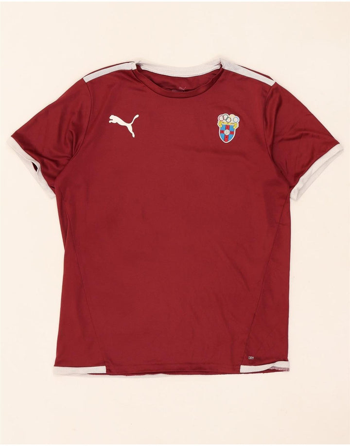 Puma Jungen T-Shirt mit Grafik, 13–14 Jahre, Kastanienbraun