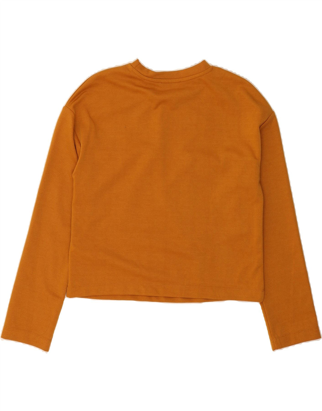 ZARA Womens Oversized Crop Top Long Sleeve UK 10 Small Brown Polyester Vintage Zara and Second-Hand Zara from Messina Hembry 