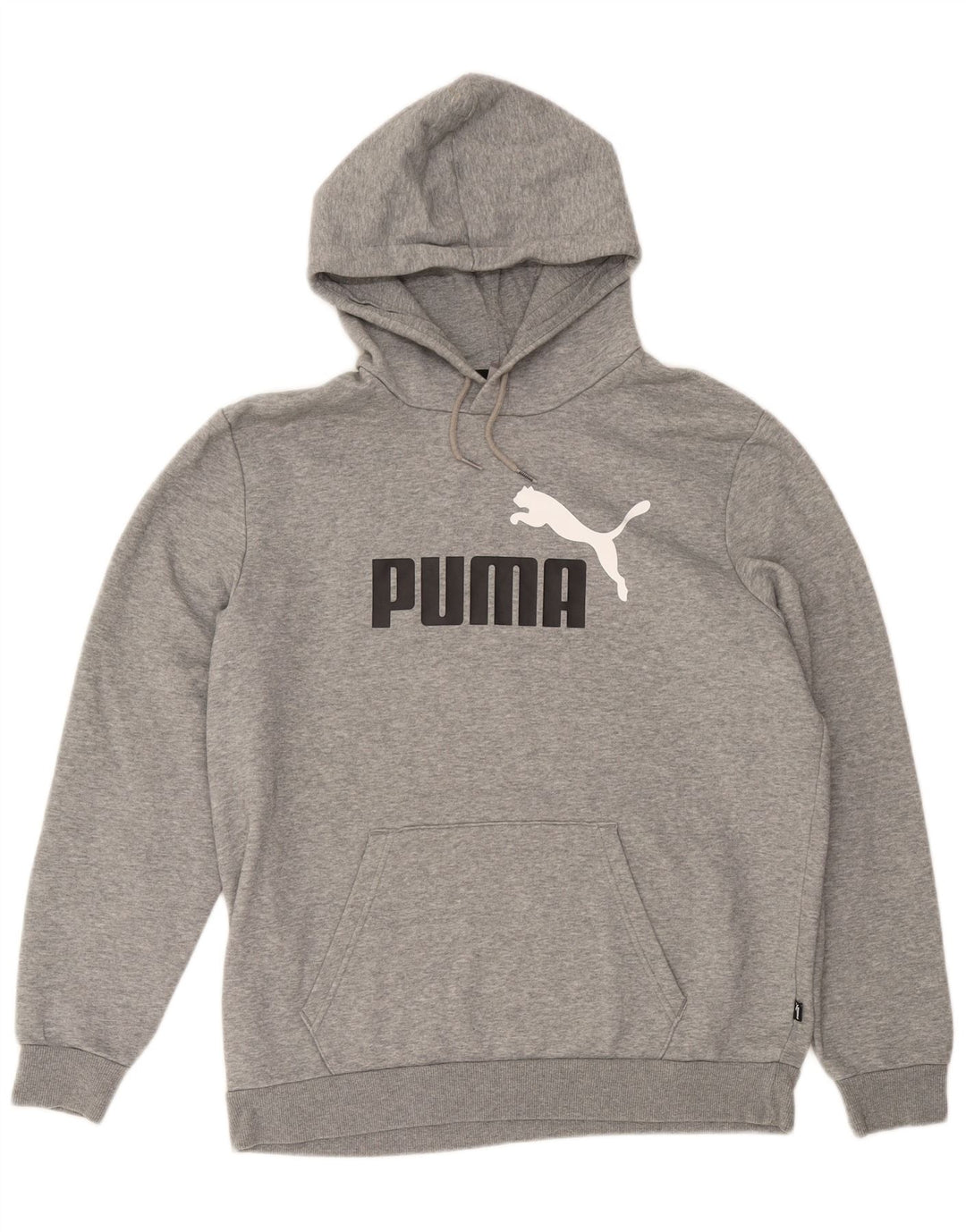 Puma Herren Graphic Hoodie Pullover Large Grau meliert