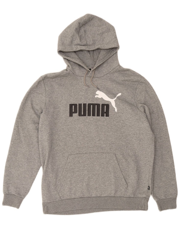 Puma Herren Graphic Hoodie Pullover Large Grau meliert