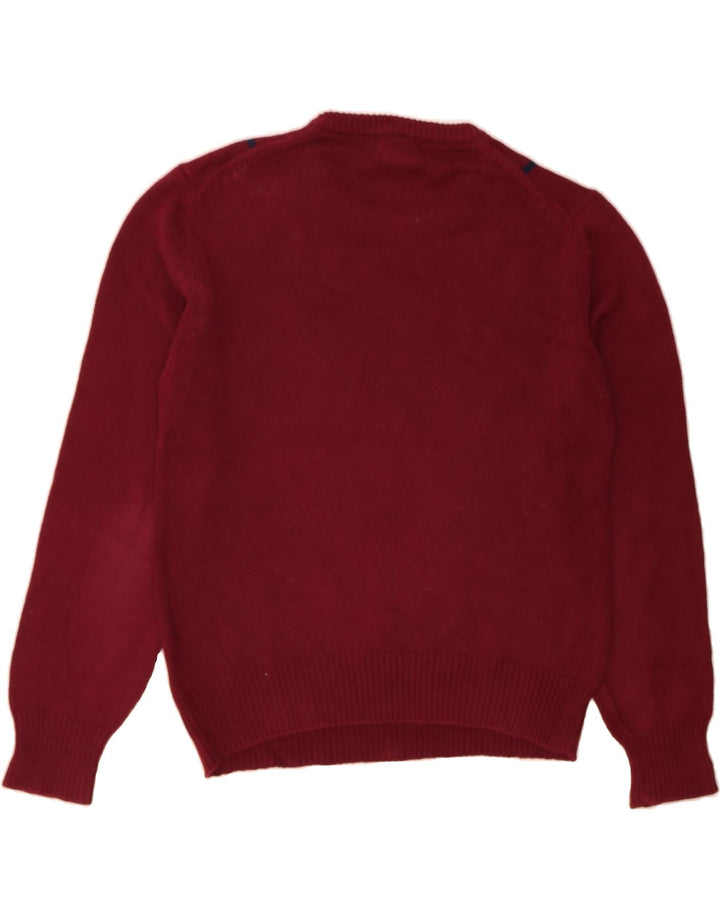 IZOD Mens Crew Neck Jumper Sweater Medium Burgundy Striped Cotton Vintage Izod and Second-Hand Izod from Messina Hembry 