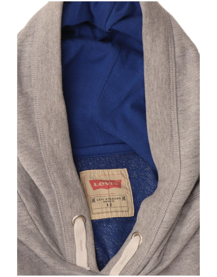 Levi's Jungen-Pullover mit grafischem Kapuzenpullover, 11–12 Jahre, grau gefleckt