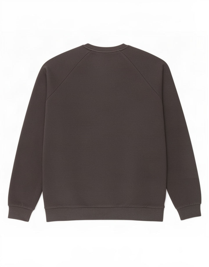Under Armour Herren-Sweatshirt-Pullover aus mittelgrauer Baumwolle