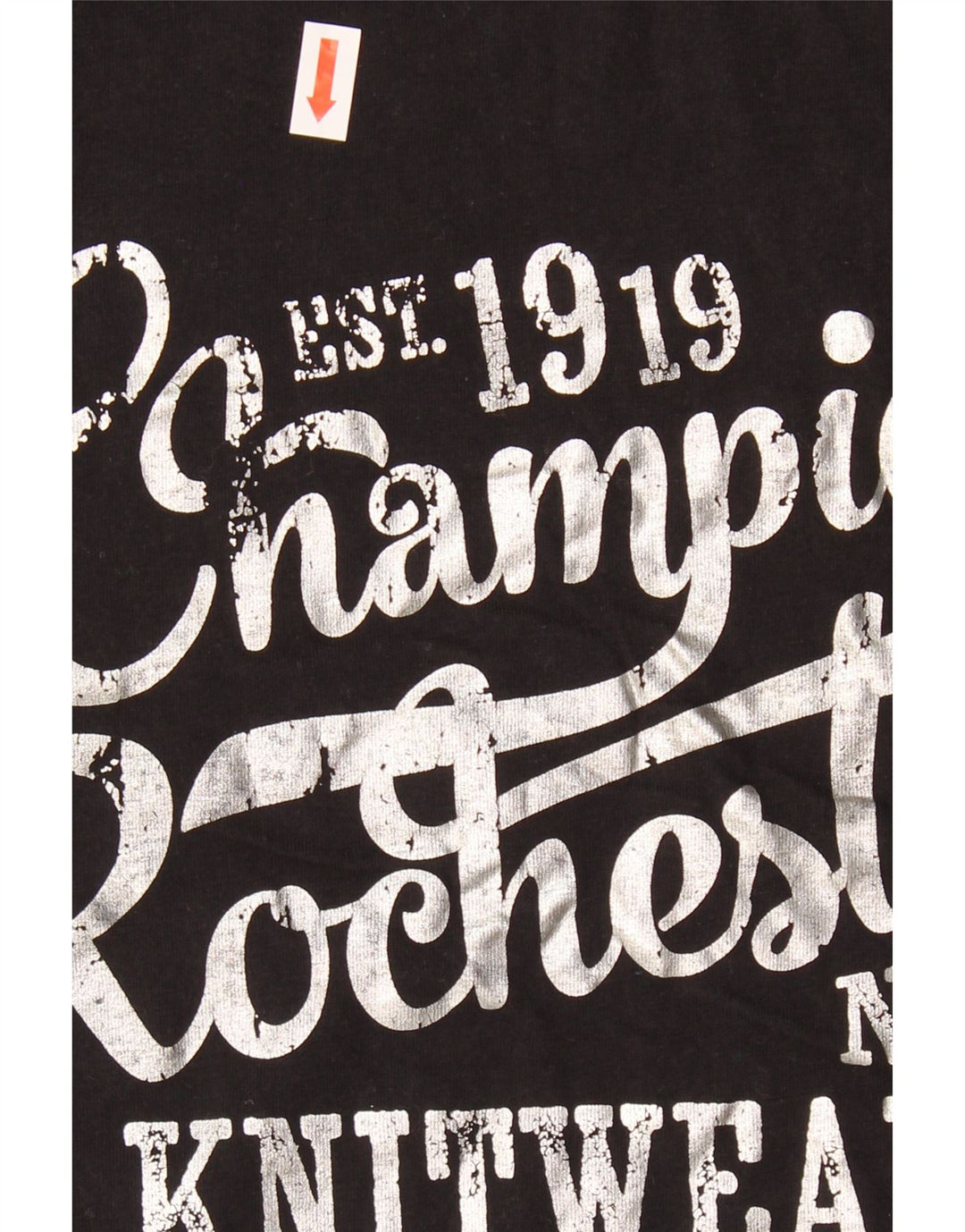 Womens Graphic T-Shirt Top UK 14 Large Vintage Champion and Second-Hand Champion from Messina Hembry 