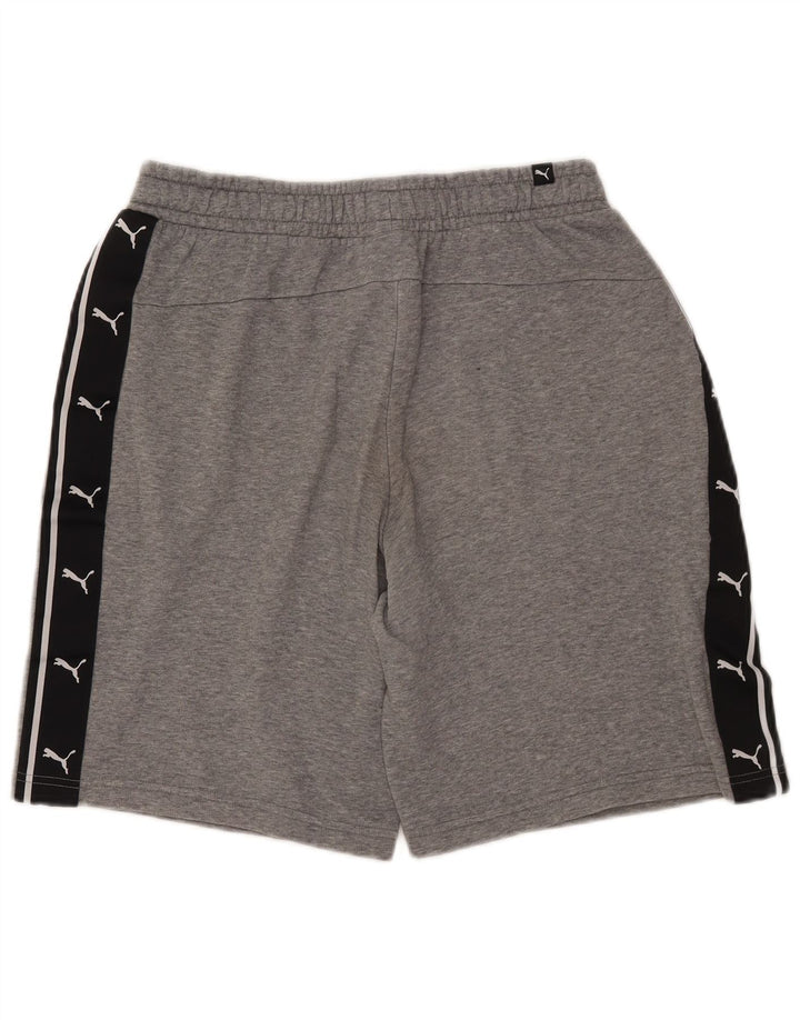 PUMA Herren Graphic Sport Shorts Mittelgrau Farbblock