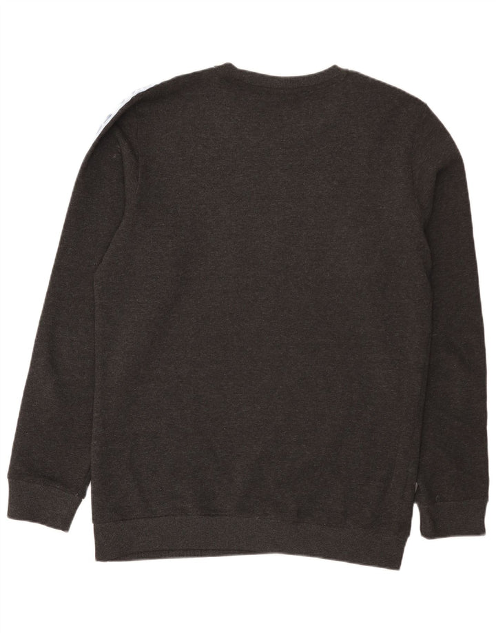 Fila Herren-Sweatshirt mit Grafik, groß, graues Farbblock-Polyester