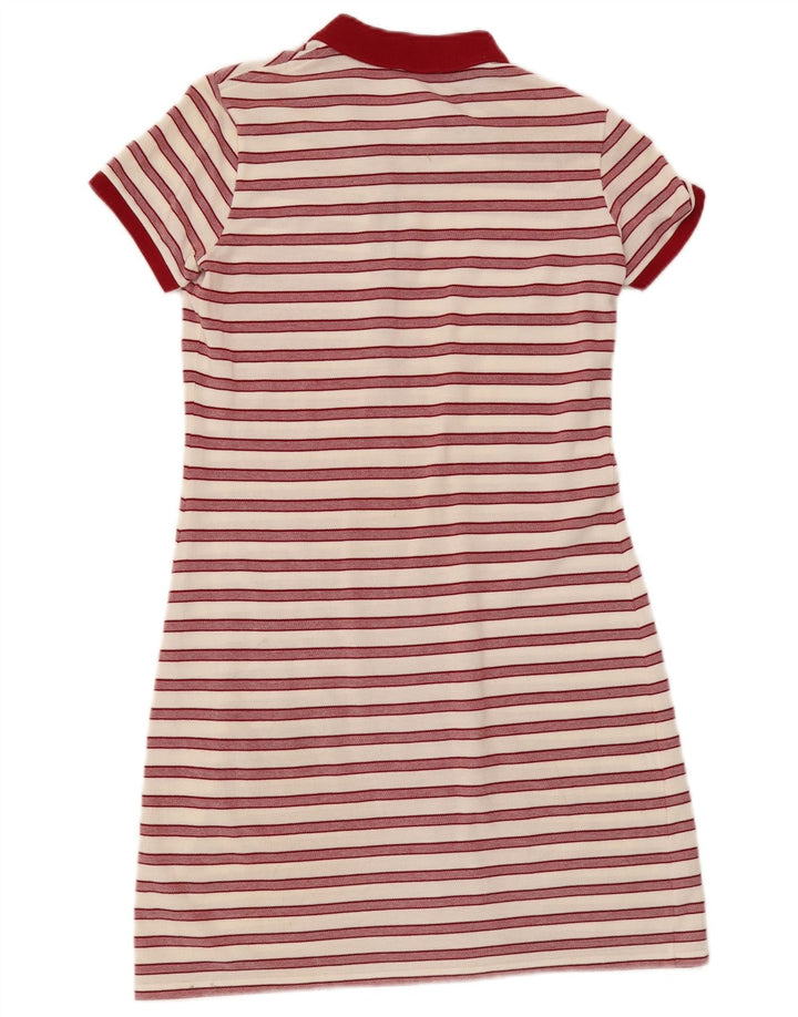 Lacoste Damen Polokleid Größe 38 Mittelweiß gestreifte Baumwolle