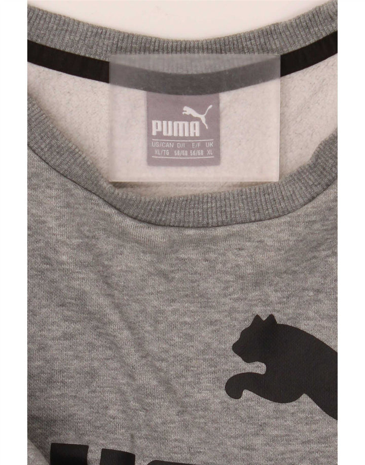 Puma Herren Graphic Sweatshirt Pullover XL Grau meliert