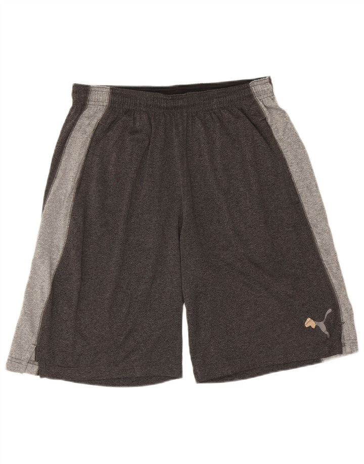 PUMA Herren Sportshorts Mittelgrau Farbblock