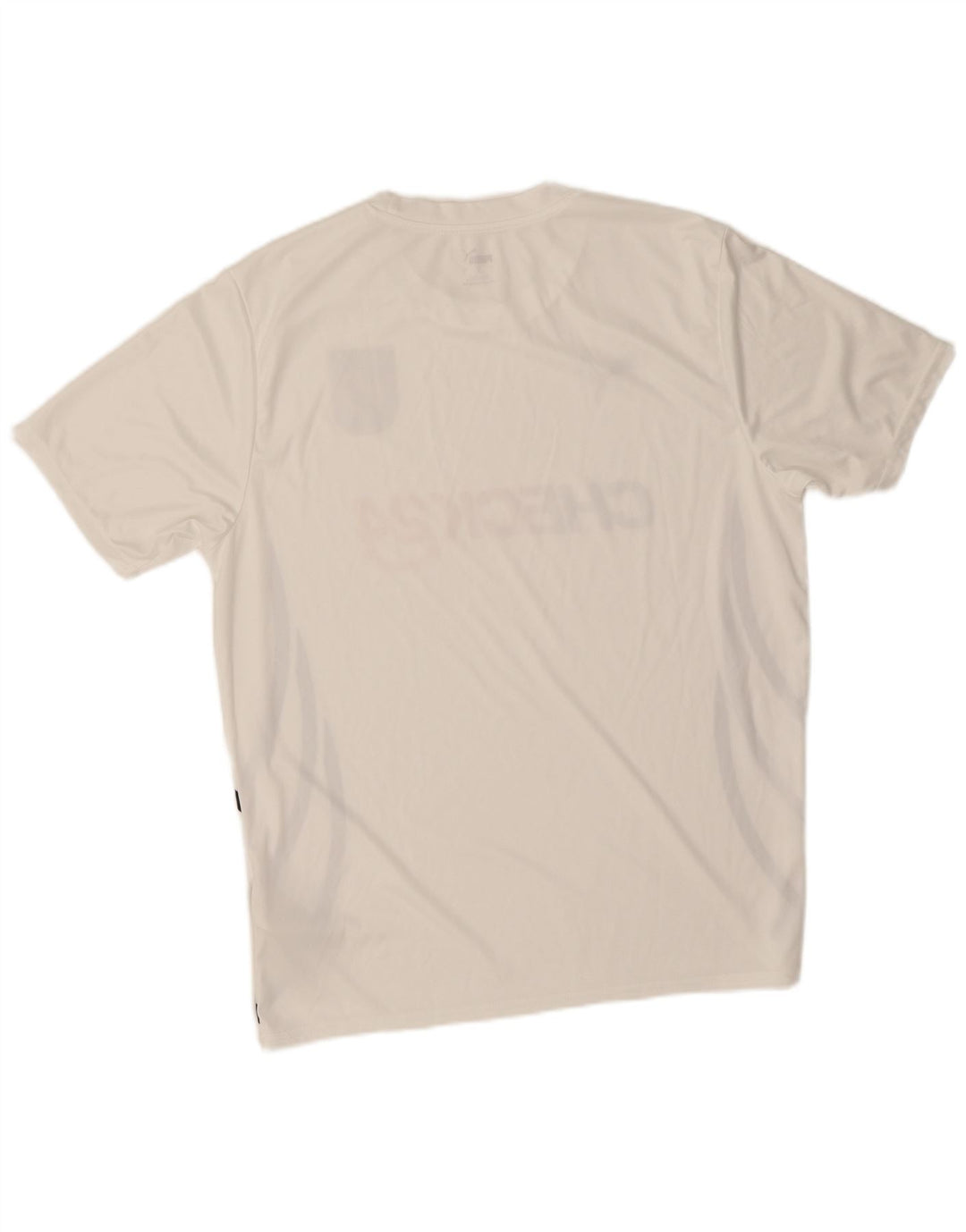 Puma Herren Deutshland Graphic T-Shirt Top Large Weiß Polyester