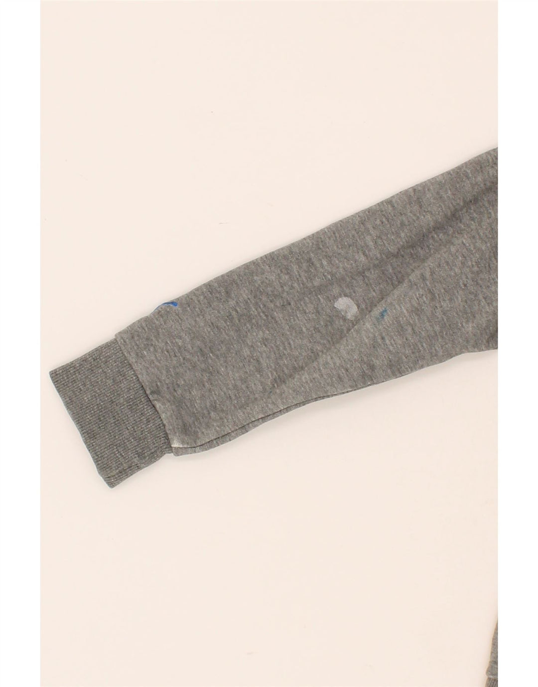 PUMA Boys Graphic Hoodie Jumper 9-10 Years Medium  Grey Cotton Vintage Puma and Second-Hand Puma from Messina Hembry 