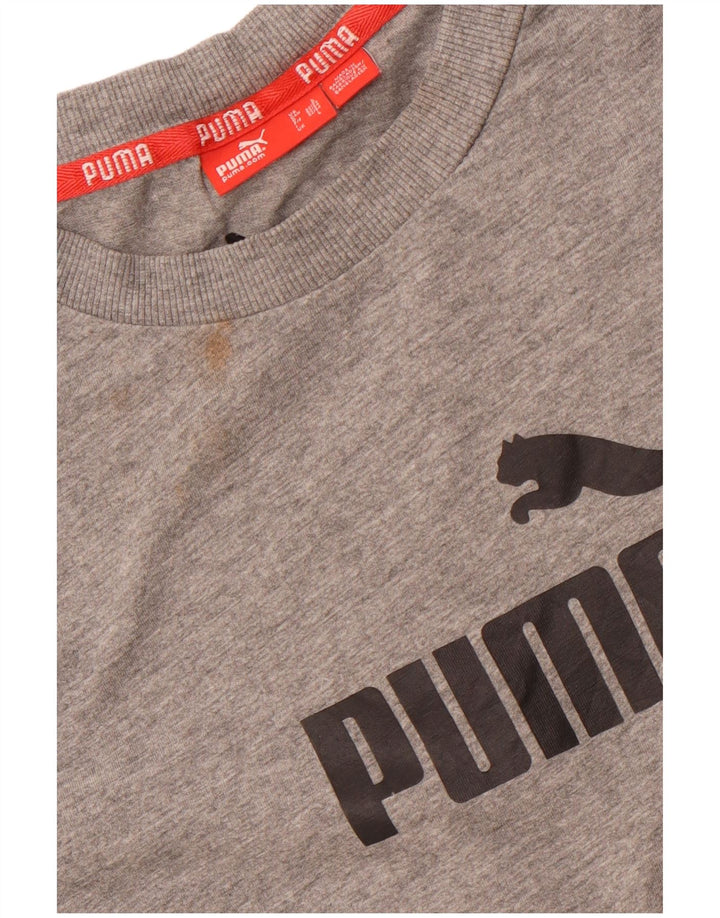 PUMA Herren Graphic T-Shirt Top Large Grau Baumwolle