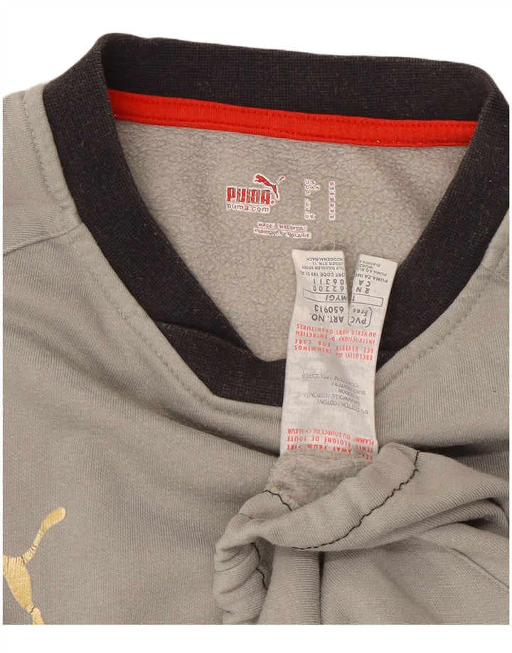 Puma Herren-Sweatshirt-Pullover aus mittelgrauer Colourblock-Baumwolle