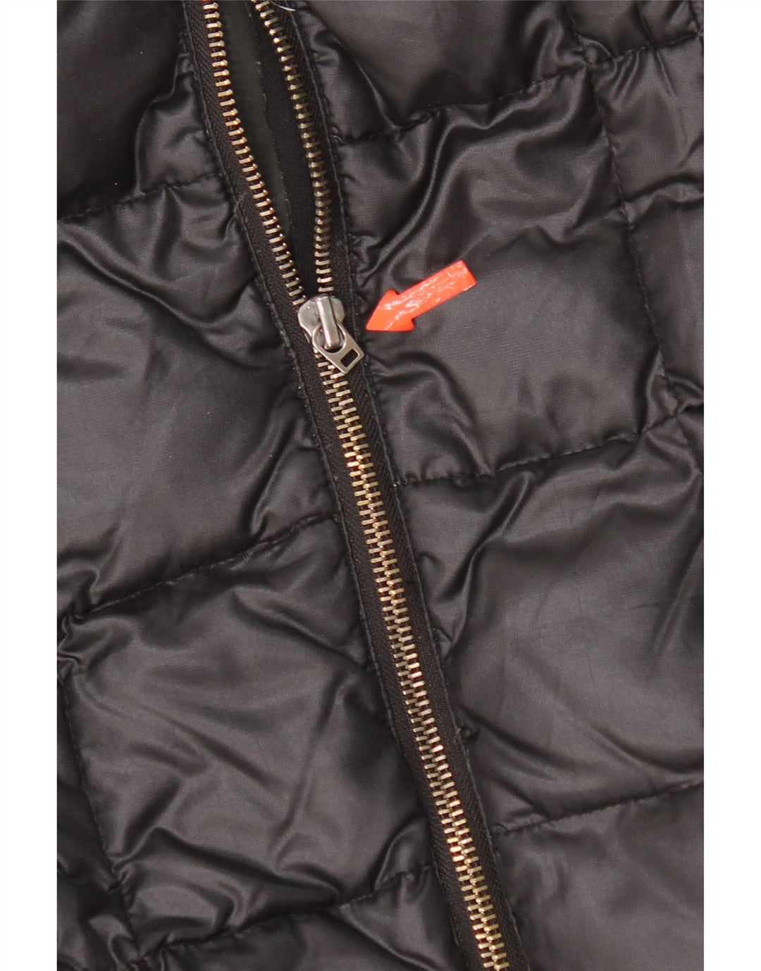 Gas Damen Wattierte Jacke IT 42 Medium Schwarz Polyamid