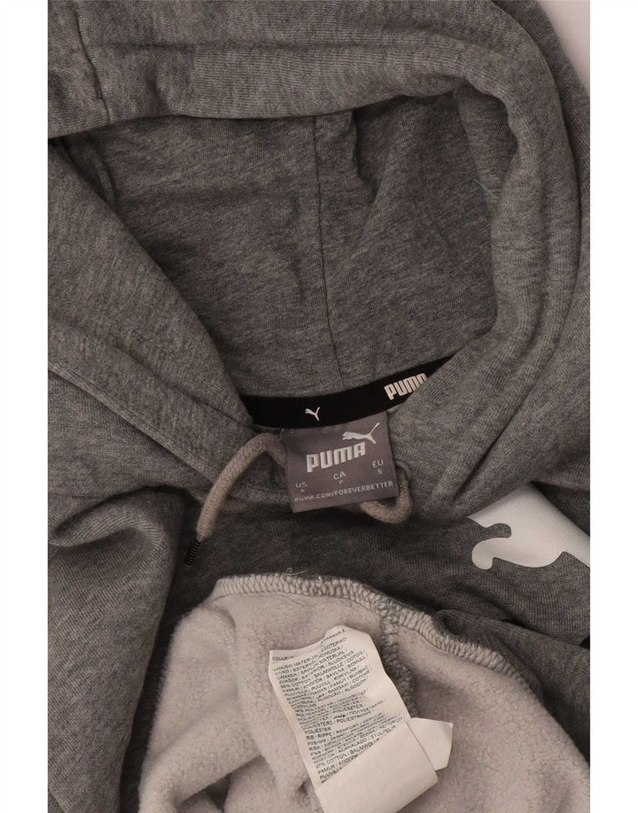 Puma Herren Graphic Hoodie Pullover Kleine graue Baumwolle