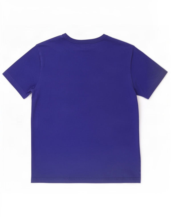 Champion Herren-T-Shirt mit Grafik, Größe S, Blau, Baumwolle