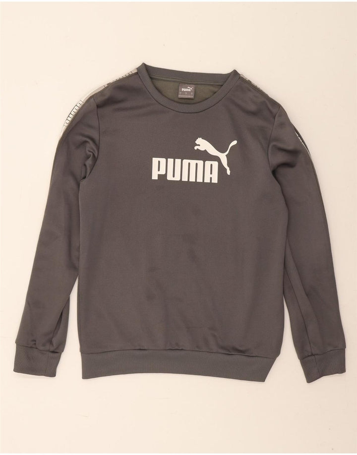 Puma Herren Grafik-Sweatshirt-Pullover, klein, grau, Polyester