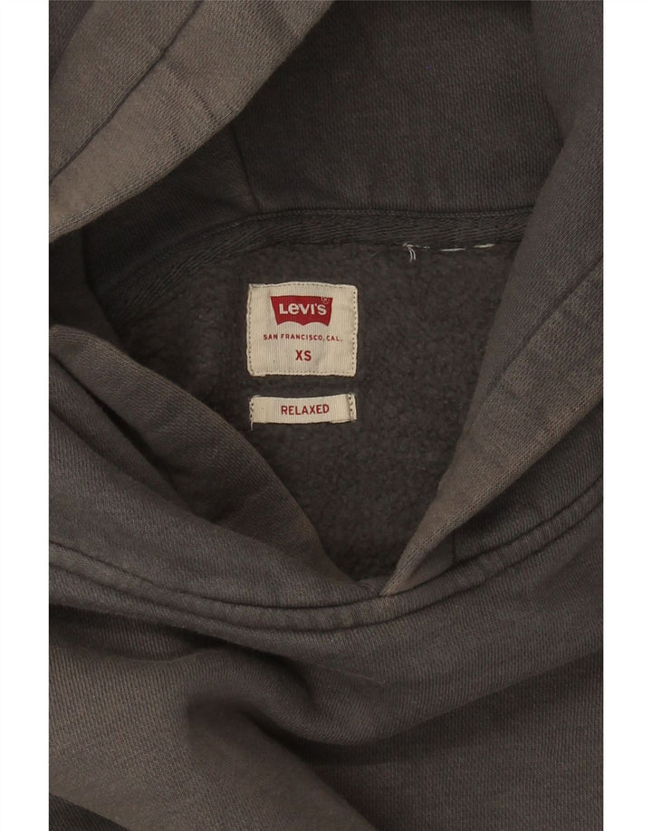 Levi's Herren Relaxed Fit Hoodie Pullover XS Grau