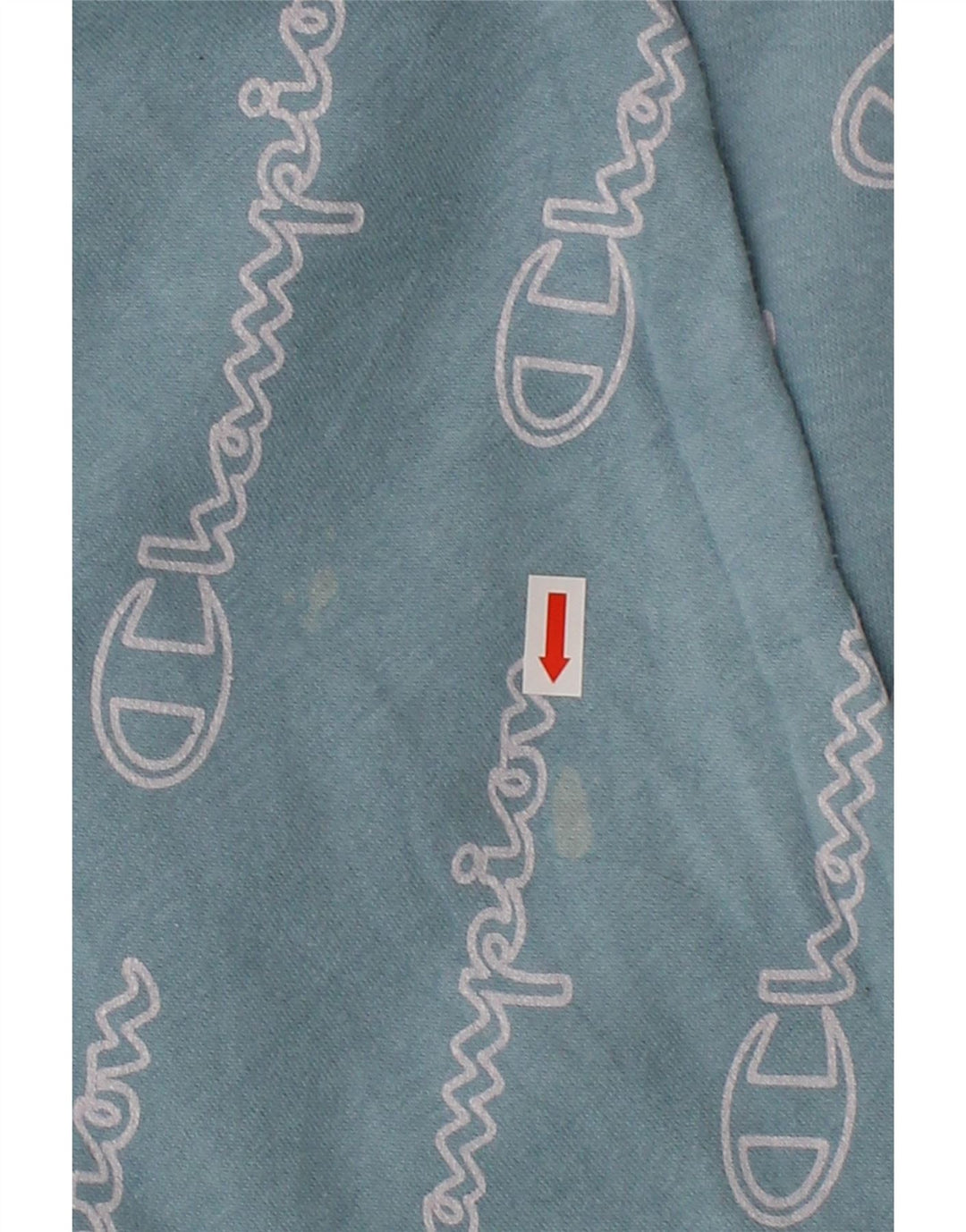 CHAMPION Womens Graphic Oversized Sweatshirt Jumper UK 20 2XL Blue Vintage Champion and Second-Hand Champion from Messina Hembry 