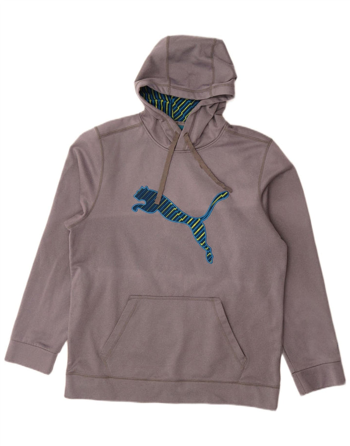 Puma Herren-Kapuzenpullover mit Grafik, groß, grau, Polyester