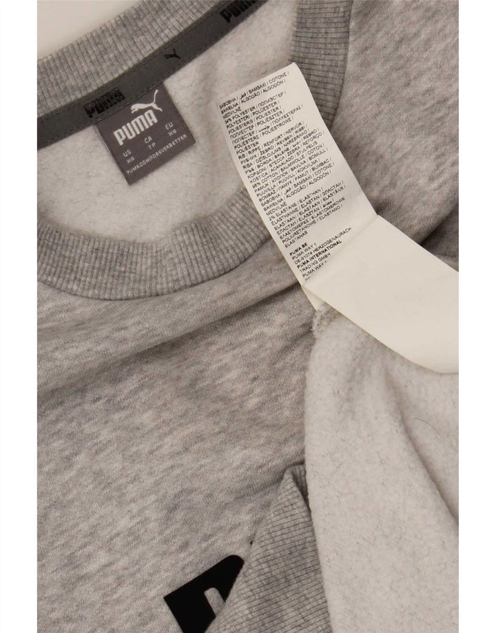 Puma Herren Grafik Sweatshirt Pullover XS Grau Baumwolle