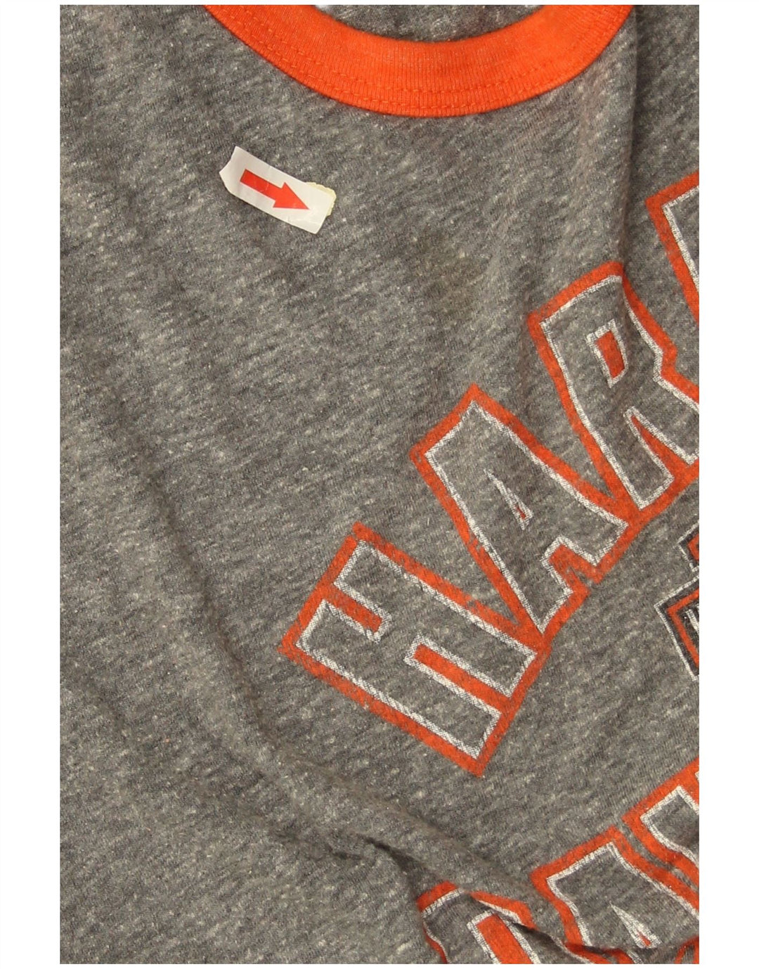 Harley Davidson Grafikoberteil für Damen, 3/4-Ärmel, UK 16, Large, Grau, Farbblock