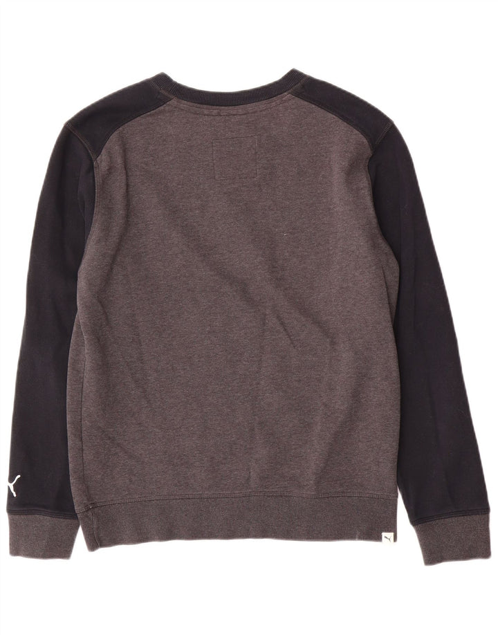 Puma Herren Grafik-Sweatshirt-Pullover, klein, graue Farbblock-Baumwolle