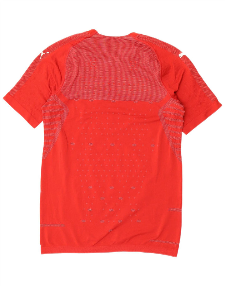 Puma Herren T-Shirt mit Grafik, groß, rot gestreift