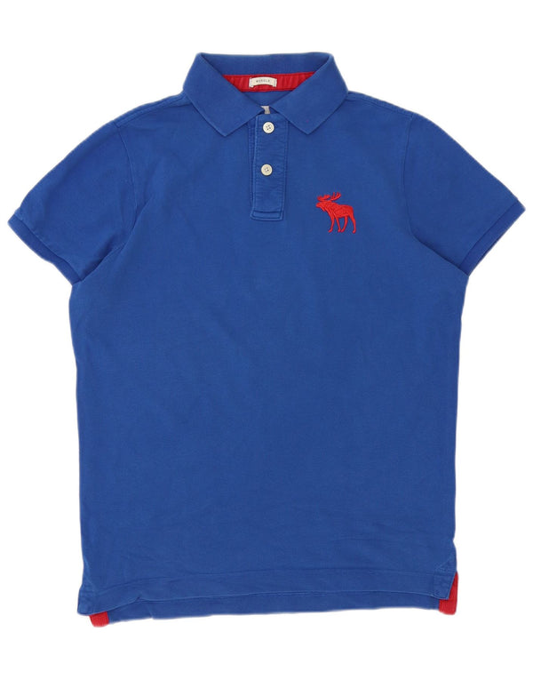 Abercrombie & Fitch Herren Poloshirt XL Blau