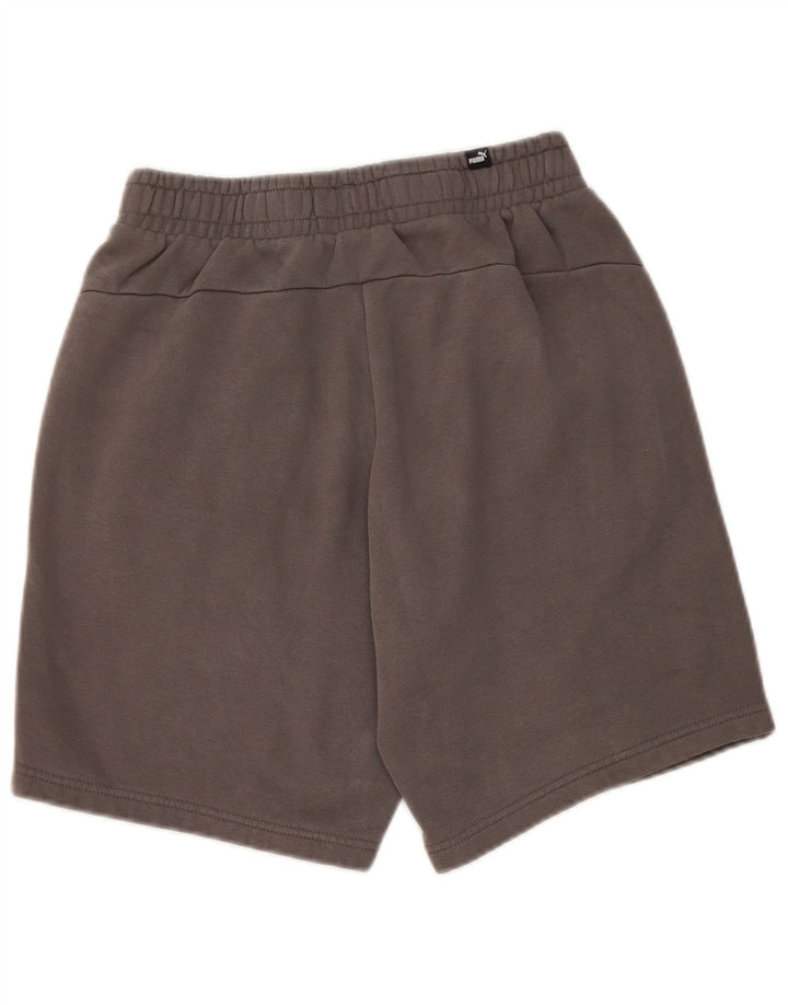 Puma Herren Sportshorts Small Grau