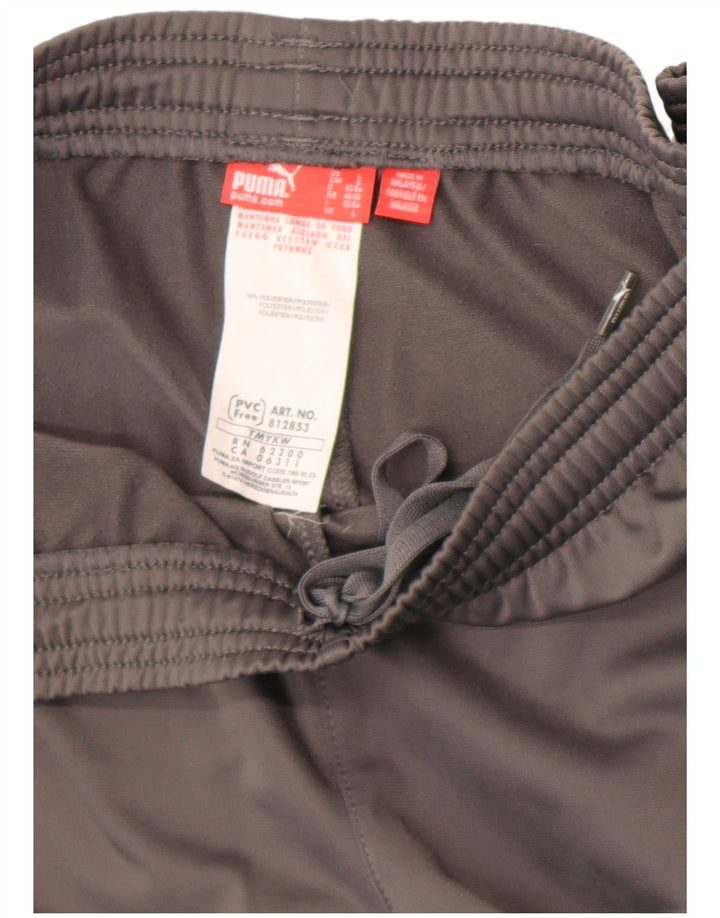 Puma Herren-Trainingshose, groß, graues Polyester