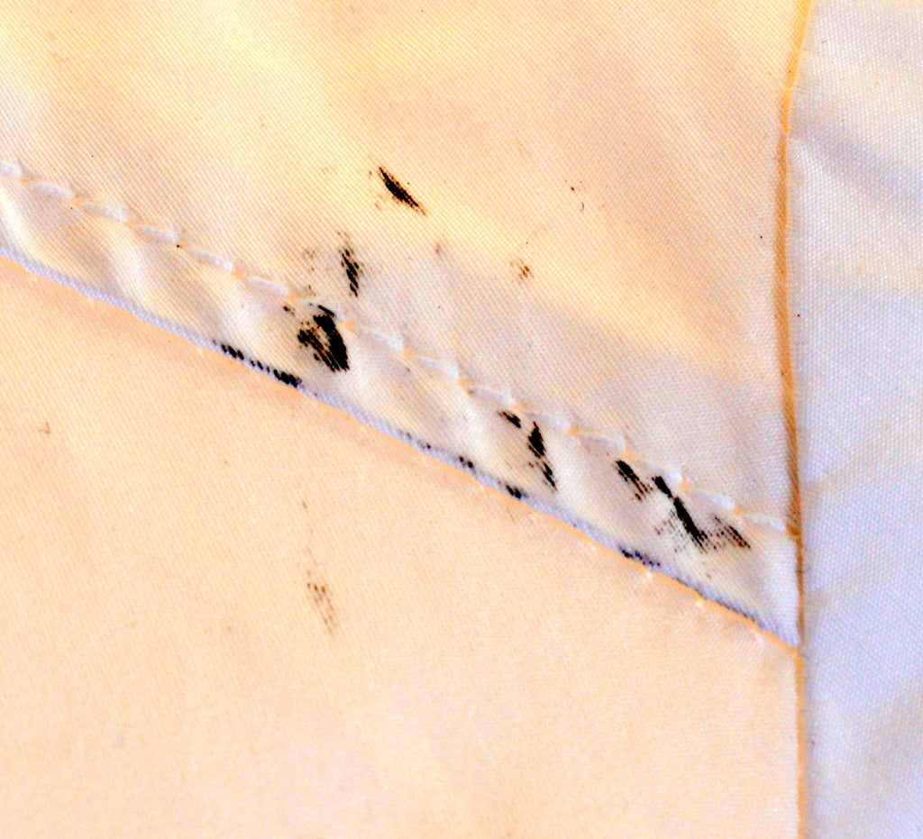 PATRIZIA PEPE FIRENZE Girls Jacket 11-12 Years Large White - Second Hand & Vintage Designer Clothing - Messina Hembry